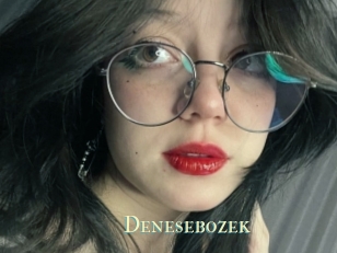 Denesebozek
