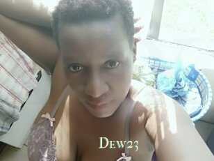 Dew23