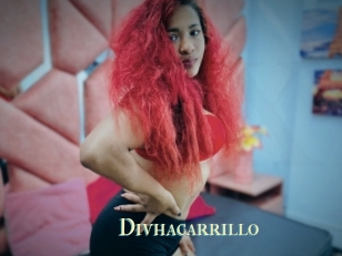 Divhacarrillo