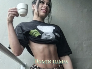 Domin_hamss