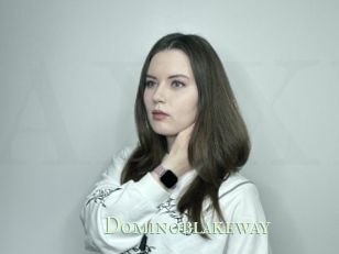 Dominoblakeway