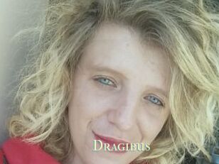 Dragibus