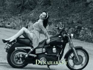 Dynaharley