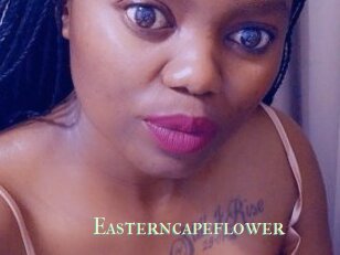 Easterncapeflower