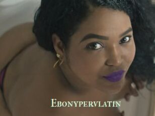 Ebonypervlatin