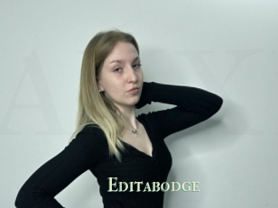 Editabodge