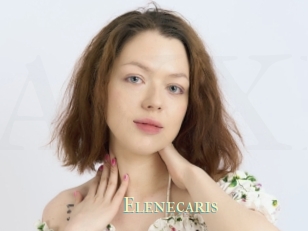 Elenecaris