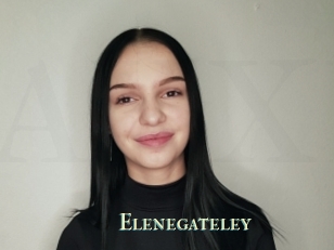 Elenegateley