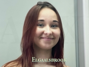Elgaalsbrook