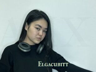 Elgacubitt