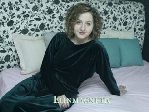 Elinmagnetic