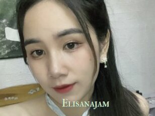 Elisanajam
