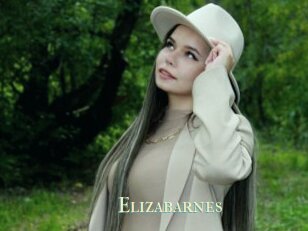 Elizabarnes