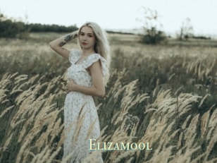Elizamool