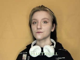 Ellettegill