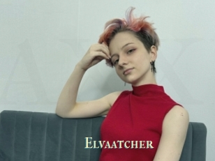 Elvaatcher