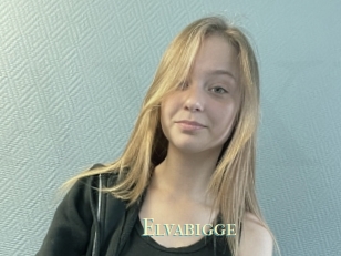 Elvabigge