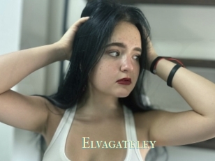 Elvagateley