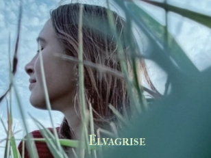 Elvagrise