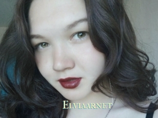 Elviaarnet