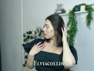 Elviacollinge