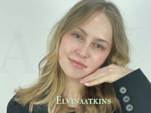Elvinaatkins