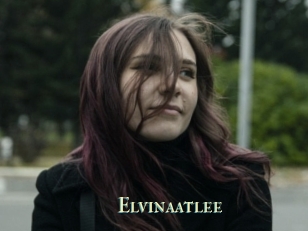 Elvinaatlee