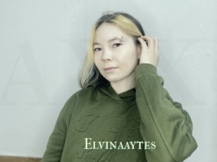 Elvinaaytes