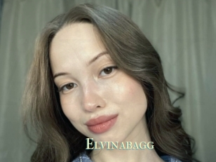 Elvinabagg