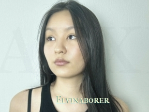 Elvinaborer
