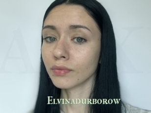 Elvinadurborow