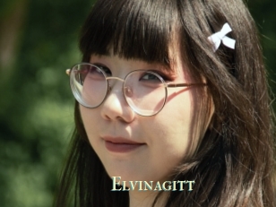 Elvinagitt