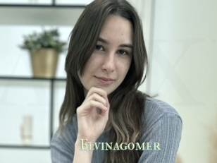 Elvinagomer