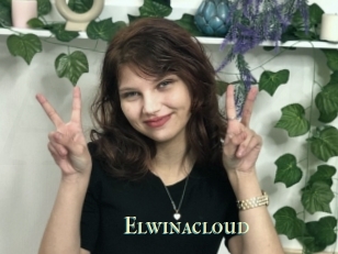 Elwinacloud