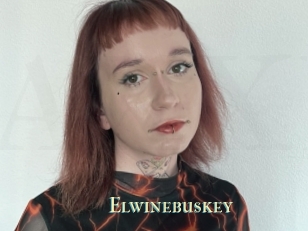 Elwinebuskey