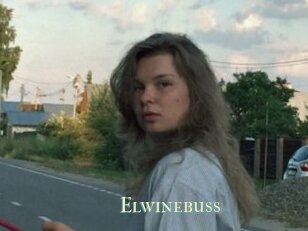 Elwinebuss