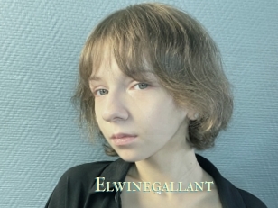 Elwinegallant