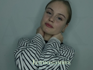 Elwinegambee