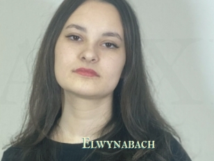 Elwynabach