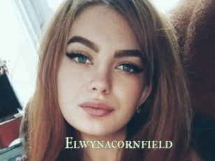 Elwynacornfield