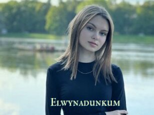 Elwynadunkum