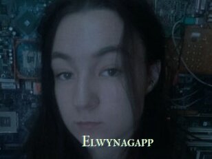 Elwynagapp