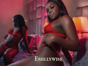 Emillywise