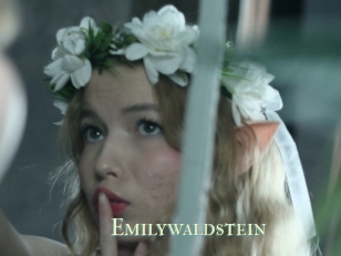 Emilywaldstein