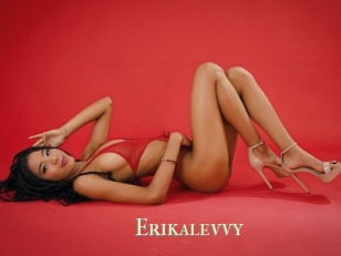 Erikalevvy