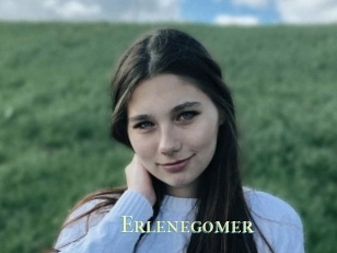 Erlenegomer