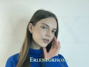 Erlenegriscom