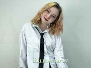 Erlinacurvin