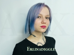 Erlinadiggle