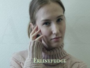Erlinefudge